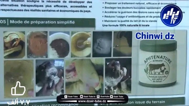 BrinaBriri's tweet photo. وداعا #للحمى_القلاعية_في_الجزائر 🐄:
#جامعة_سطيف
#INAPI
#عثماني_نور_الهدى حاصلة على ماستر 2 في علم الطفيليات وتشغل حاليًا منصب مسؤولة عن مراقبة الجودة وباحثة في الصحة الحيوانية

قامت بتطوير منتج بيولوجي 100% محلي لعلاج التهاب الفم لدى الحيوانات تحت اسم
Aphet Nature 🌿

🇩🇿🔬 https://t.co/oja1r5yxPA