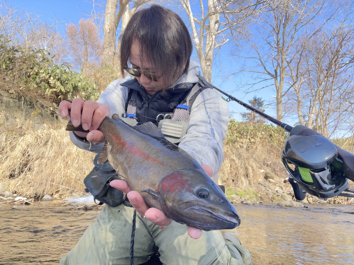 tanakacraft2021's tweet image. 運動不足が過ぎるので仕事前にちょっと散歩へ
真冬のかっちょいい蓬莱マスが出てくれました
#fishman 
#BKK
#工房遊喜