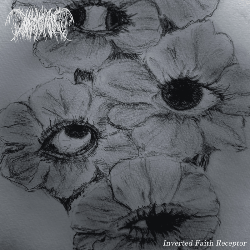 themagazinetcj's tweet photo. Menos Of Majority
『Inverted Faith Receptor』配信開始
🔗 https://t.co/SmWBW3inN3
全10曲収録
名古屋発ビートダウンハードコアバンド
1stアルバム
#MenosOfMajority https://t.co/9PYGbLjfUG