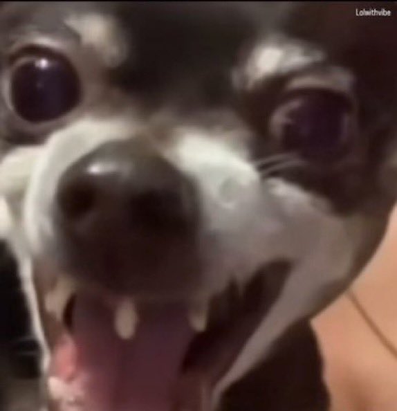 son_noeli's tweet image. Mwalim mkuu: kila mtu aje na mzazi   Wake la si hivyo nisikuone hapa.

Yatima: