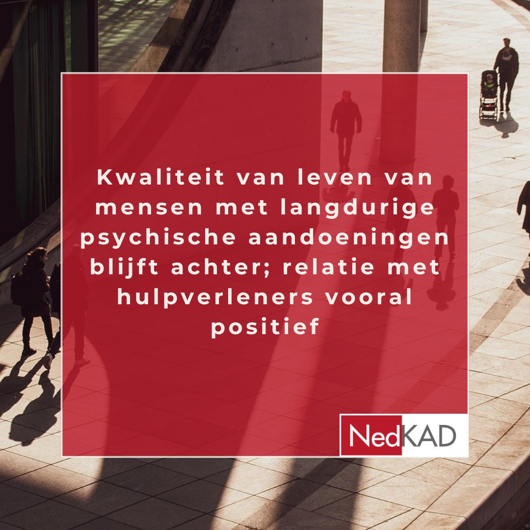 NedKAD tweet media