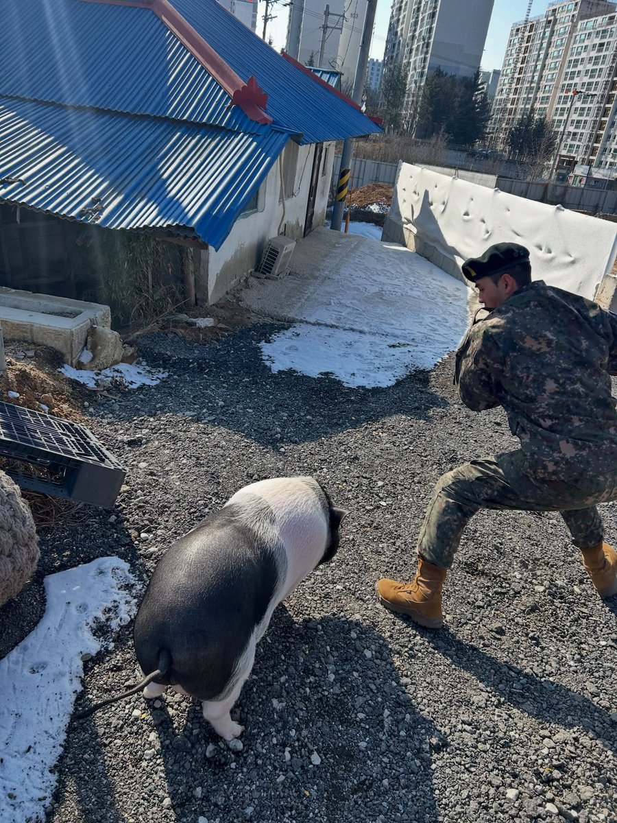 강동호 돼지한테 쫄았냐ㅋㅋㅋㅋㅋㅋㅋㅋㅋㅋㅋㅋ귀엽ㅋㅋㅋㅋㅋㅋ