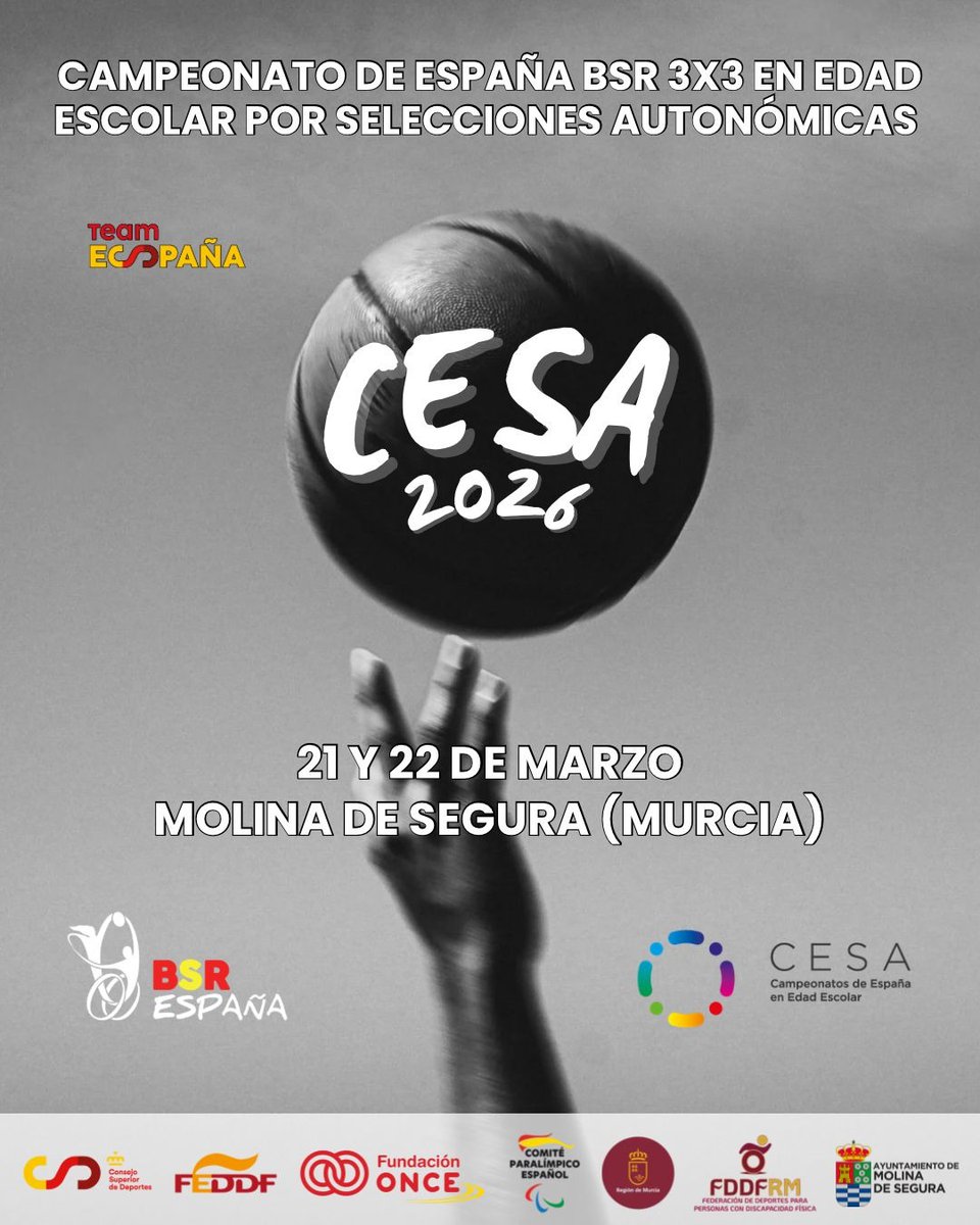 BSREspaña tweet media