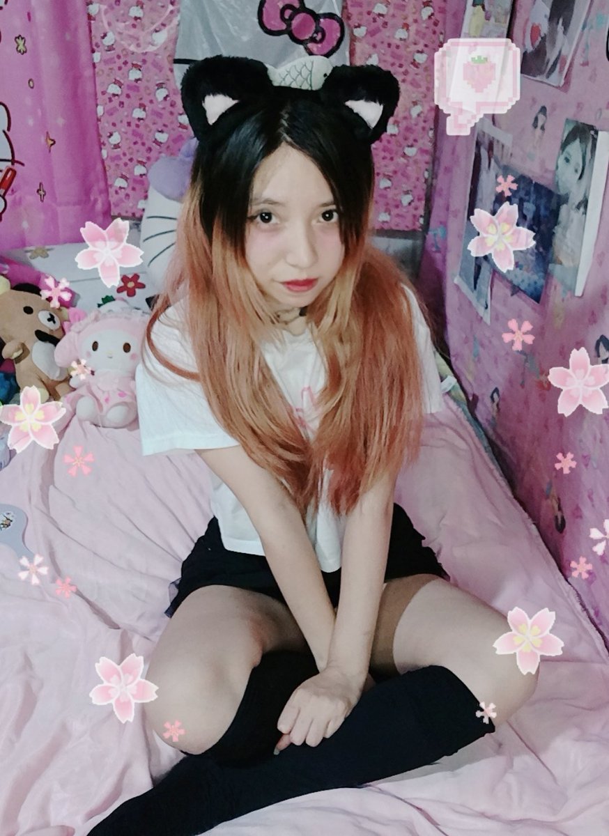 LexaUlzzang's tweet photo. Quedan pocos cupos para adquirir el set de Neko girl 💕✨ https://t.co/gohz5Pekfo

#nekogirl #cute #otakugirl https://t.co/l42KwtftYg