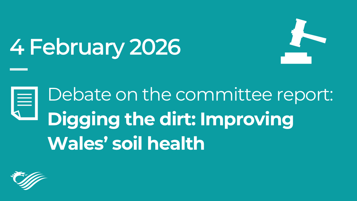 SeneddEconomy's tweet photo. ‼️ Today in the Chamber ‼️

🗣️ Debate on the Economy, Trade and Rural Affairs Committee report: 
Digging the dirt: Improving Wales’ soil health
https://t.co/RQMe4iAqCi

📜 Read the report here:
https://t.co/UD6yVcokOF https://t.co/IJ3oAajVab