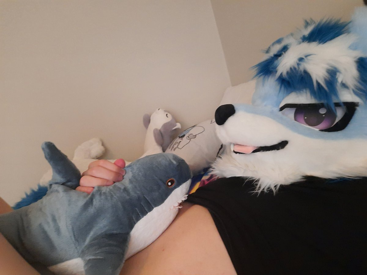 🌸RoyalWusky🌸 tweet media