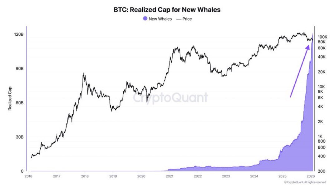 🚨WHALES ARE FLIPPING LONG ON BITCOIN!!!

Look at what’s happening in the highlighted area.

After months of decline, whale count suddenly reverses and spikes higher. 

This isn’t passive holding. It’s active accumulation and it’s happening while price is consolidating and