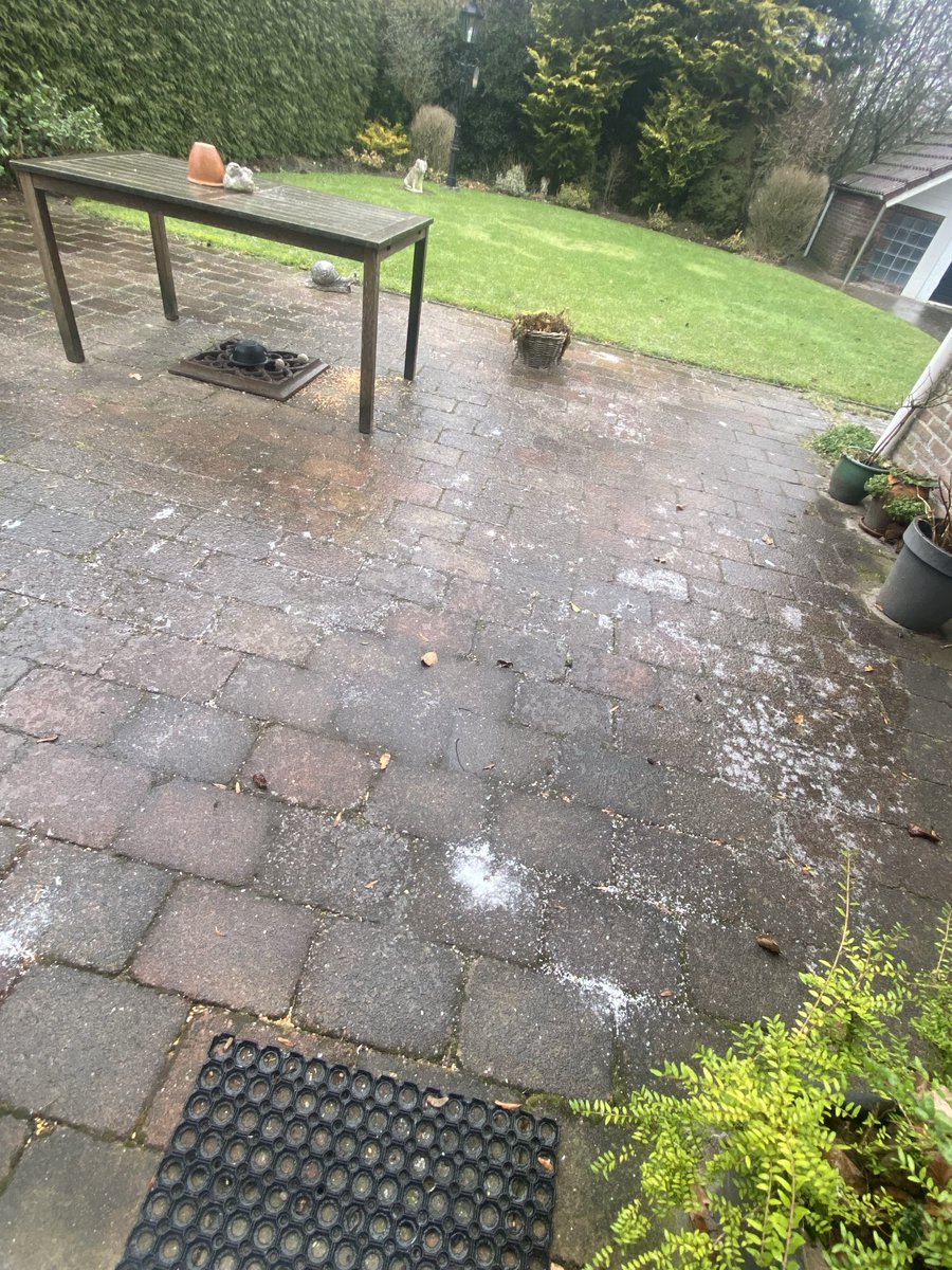 Glad. Stiens. Friesland.