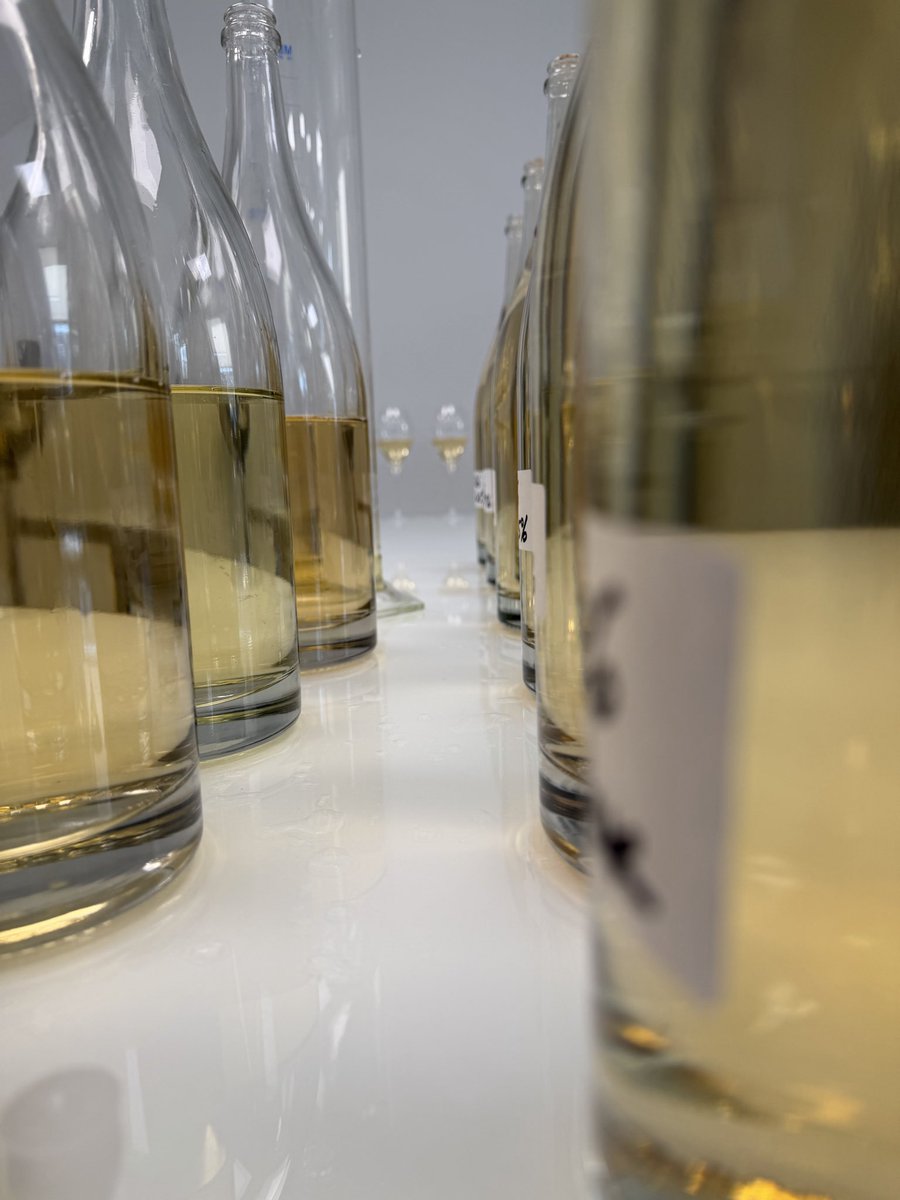 Louis Roederer tweet media