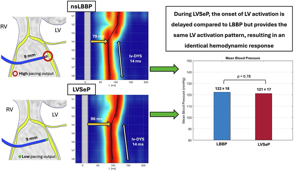 curilakarol tweet media