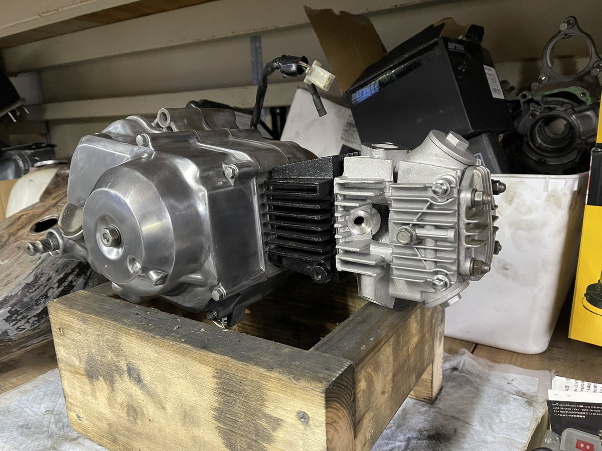 Omu散歩 (@Omusanpo) / Posts / X