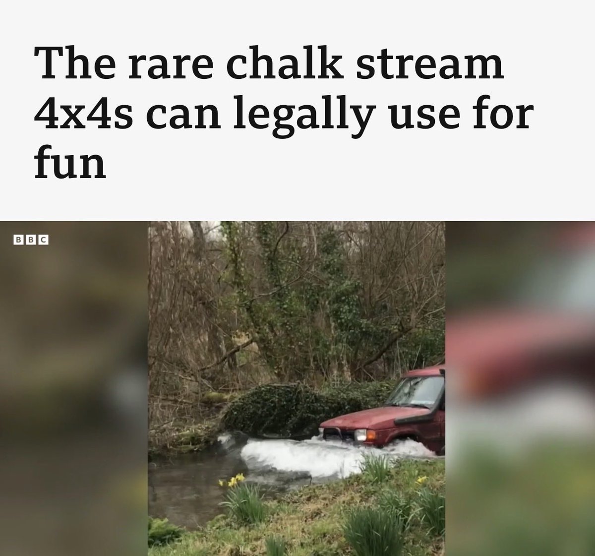 🌻 AnnetteJB- Go Wild tweet media