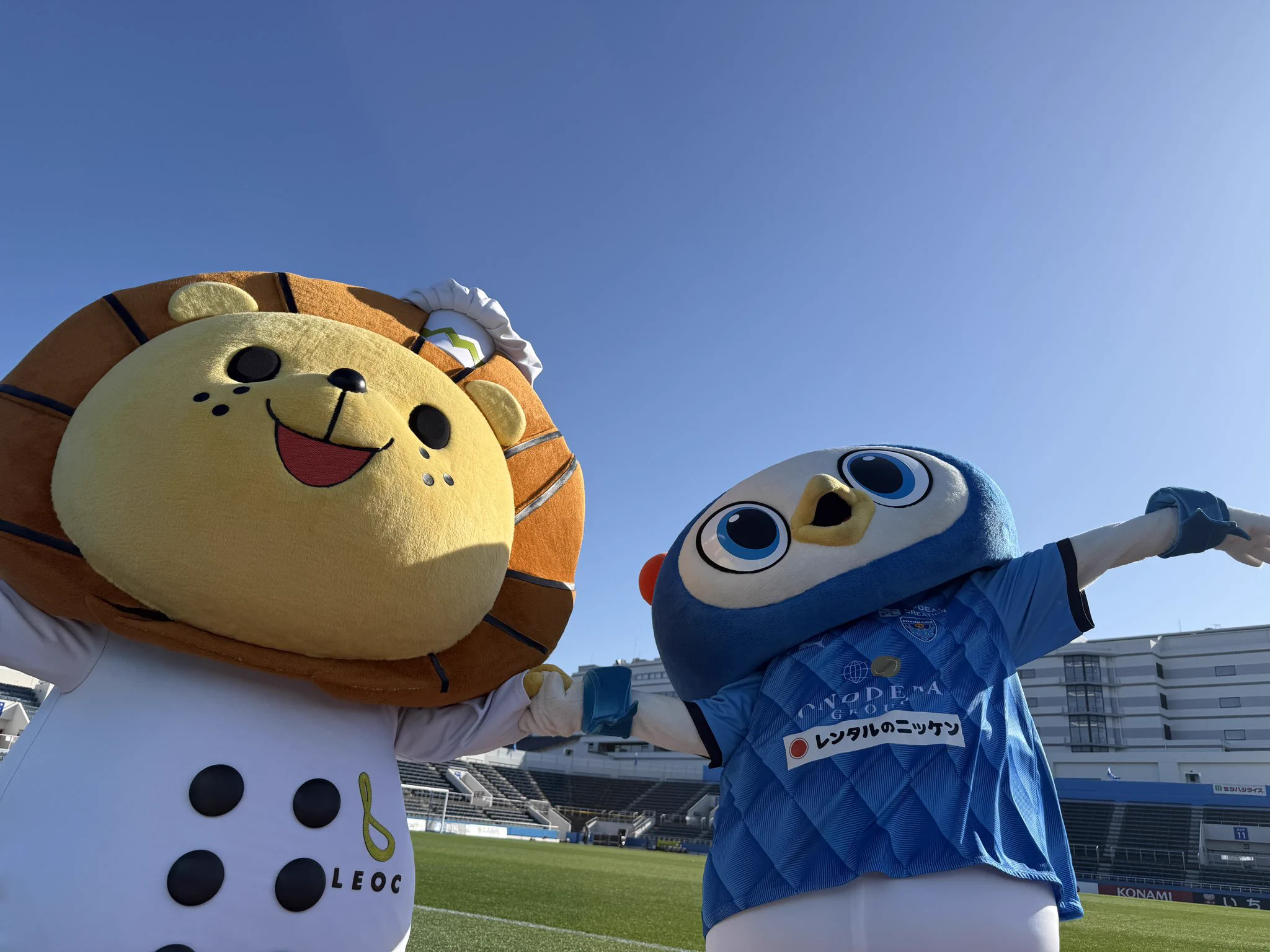 横浜FC れおっくん 横浜FC【公式】 on X: 