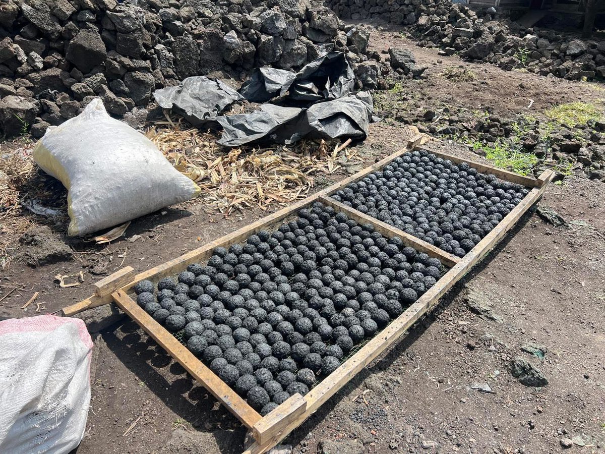 Consortium femme paix et sécurité en afrique centr tweet media