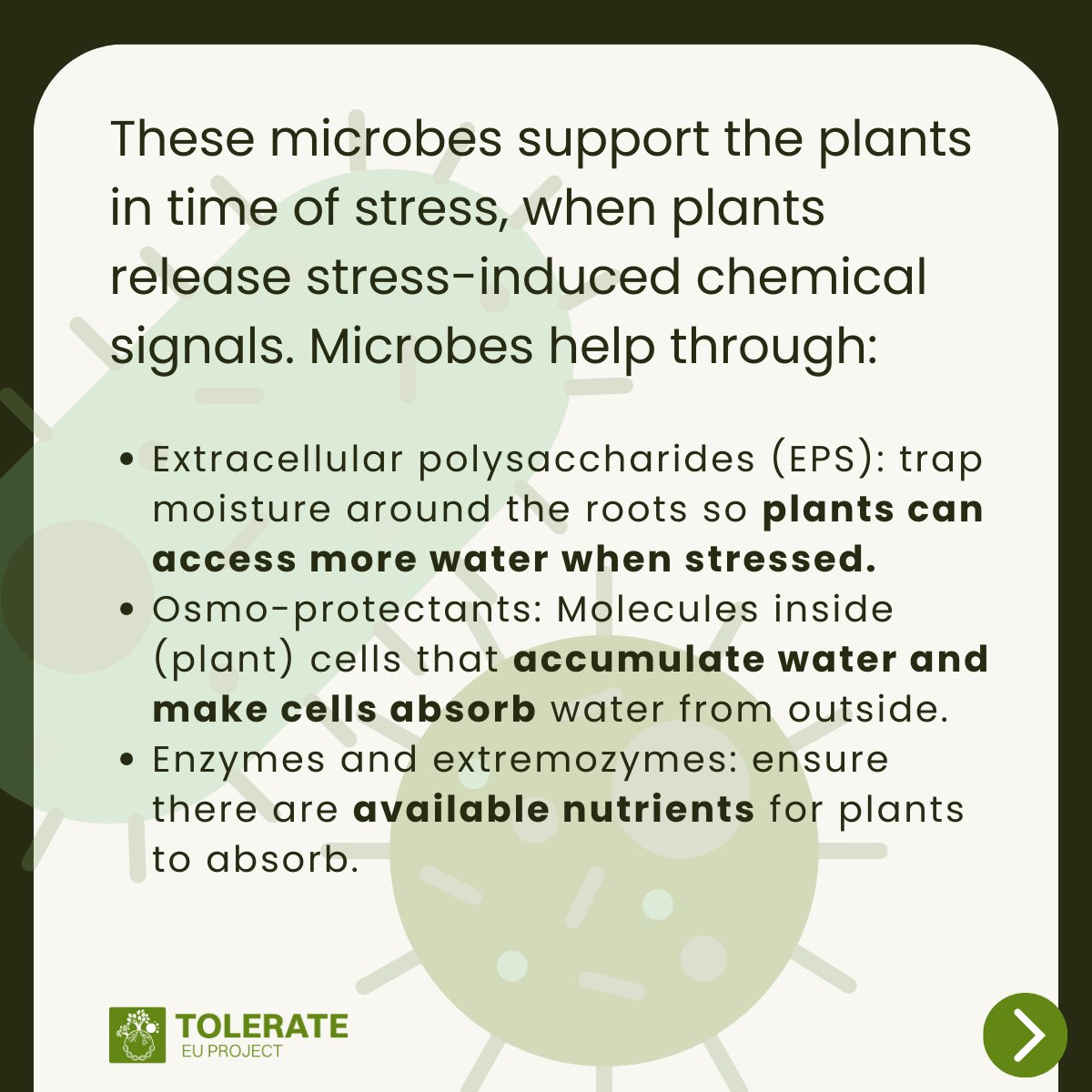 TOLERATE EU Project tweet media