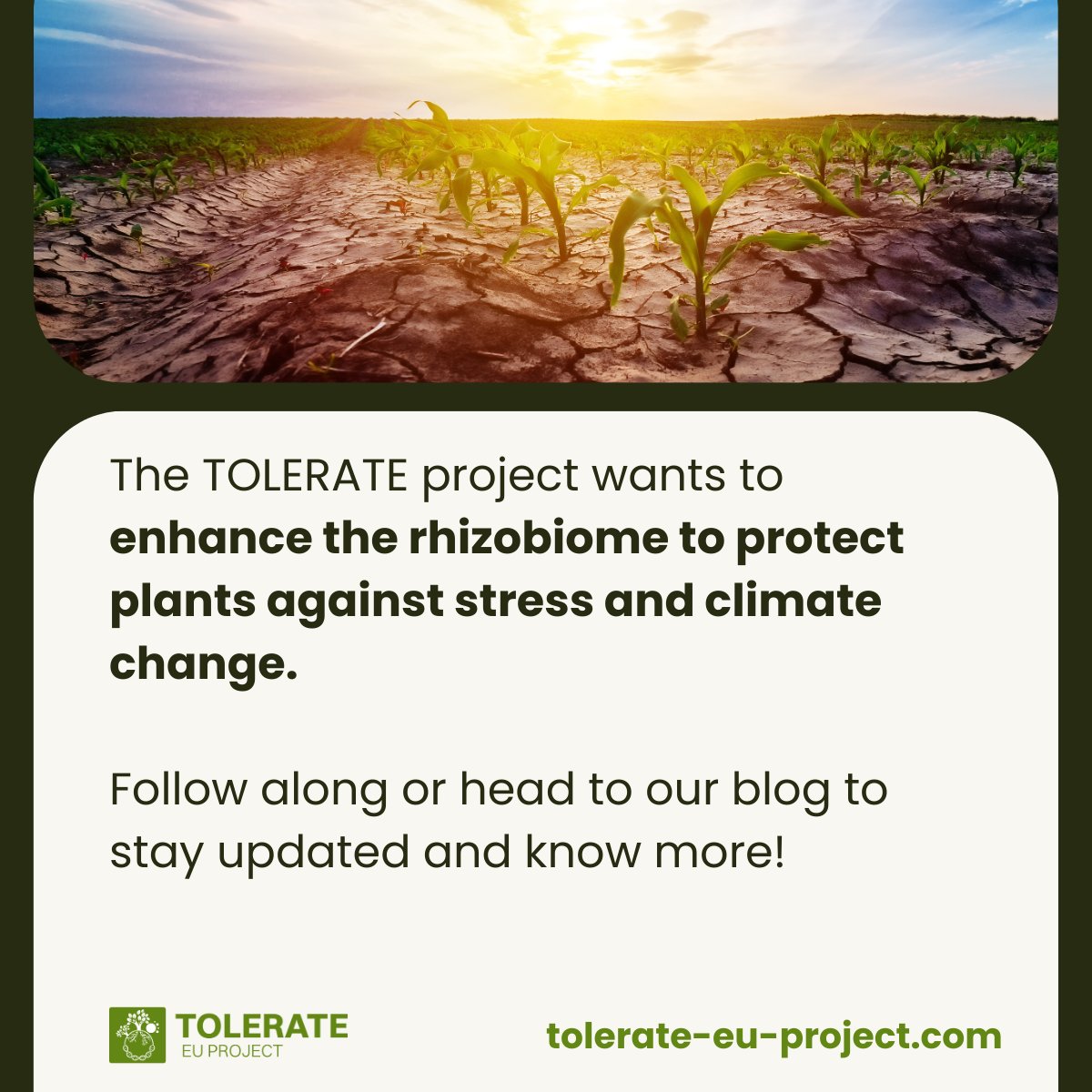 TOLERATE EU Project tweet media