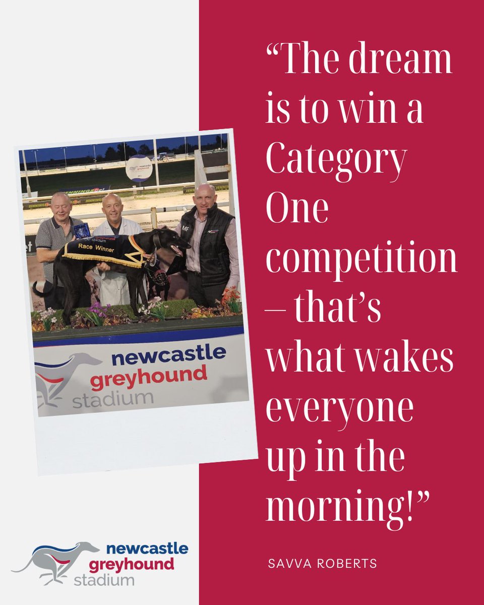🐾 Droopys Trigger
🐾 Droopys Calla
🐾 Mossend Brute

Savva Roberts has never won a Category One competition during his 20+ year stint in greyhound racing.

But he has three chances in this year's <a href="/ArenaRacingCo/">ARC</a> Northern Puppy Derby.

Heats preview 👇

newcastle-greyhounds.co.uk/news/racing/sa…