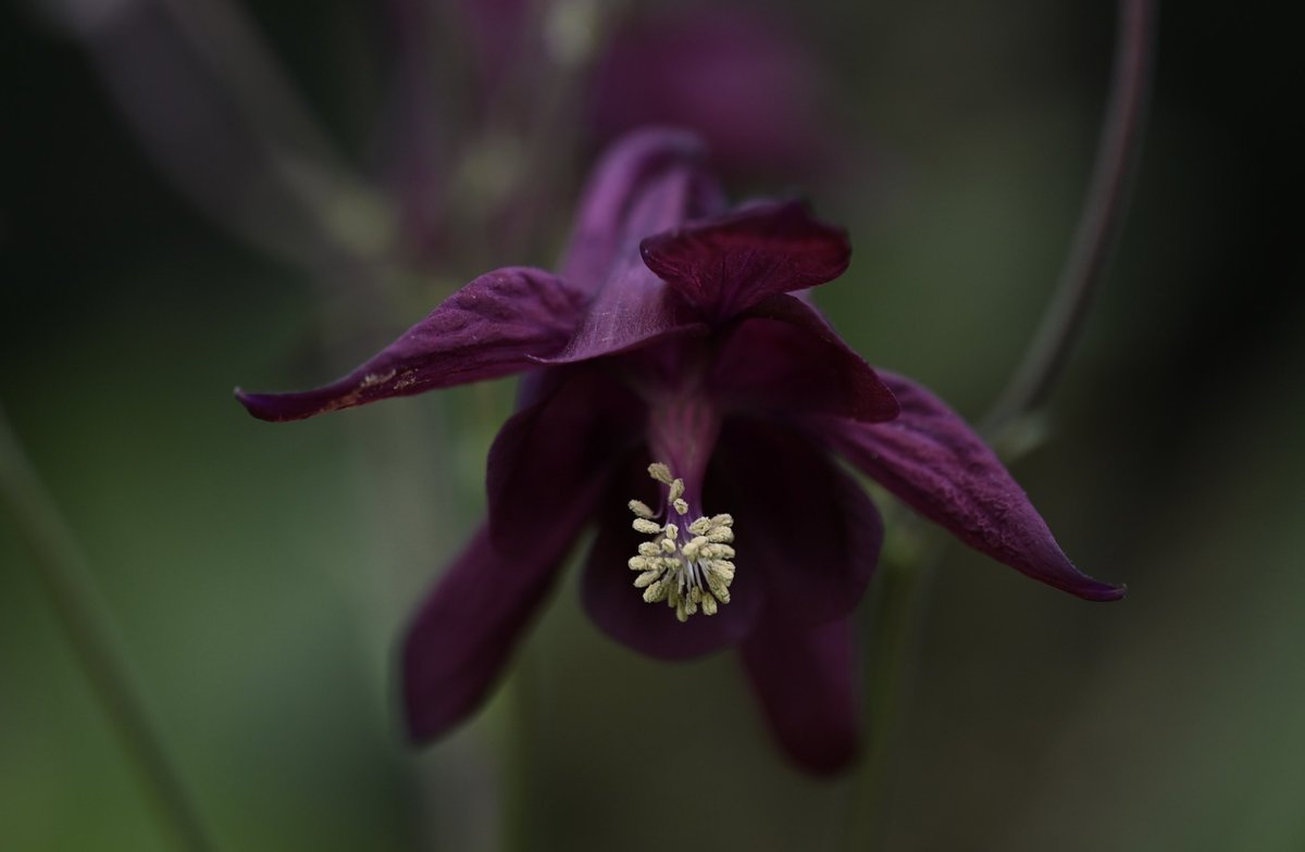 kazumi (@zf1118kazumi) / Posts / X