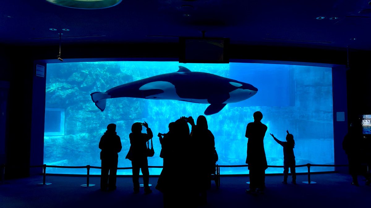 Air_EXtension's tweet photo. 名古屋港水族館に行ってきました🐬 https://t.co/b2TKmv0WWr