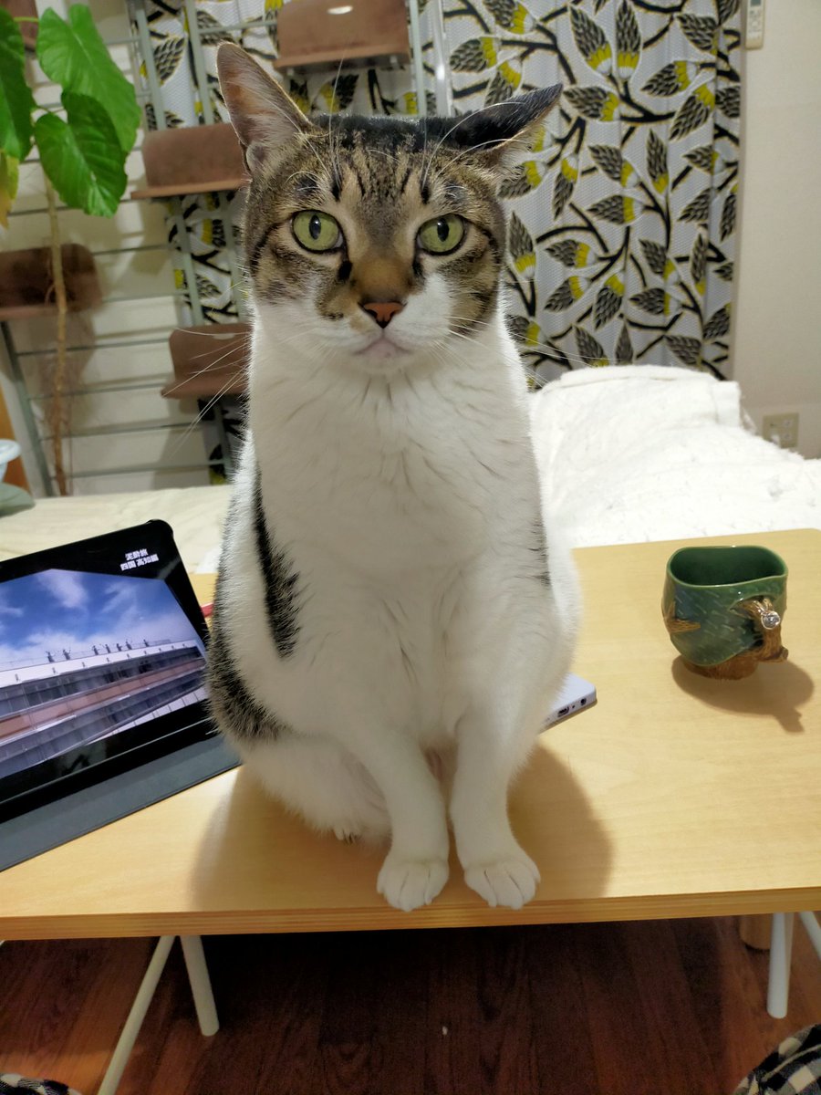 5月25日 (@snkiniens) / Posts / X