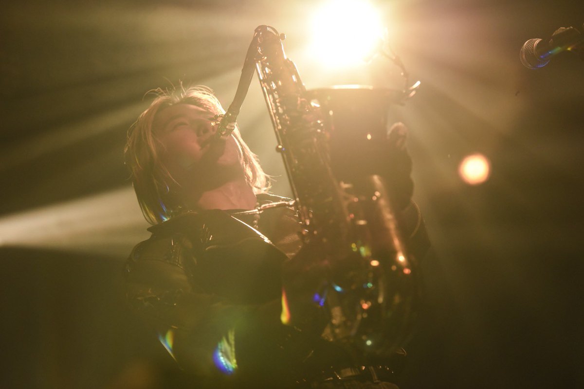 hayabolt's tweet photo. 🌴🎷 https://t.co/N6URihVitg