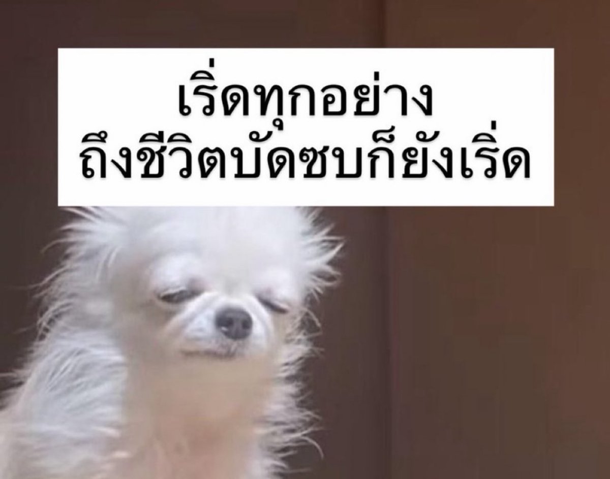 อีเหี้ย กุล่ะอย่างชอบจริงๆ