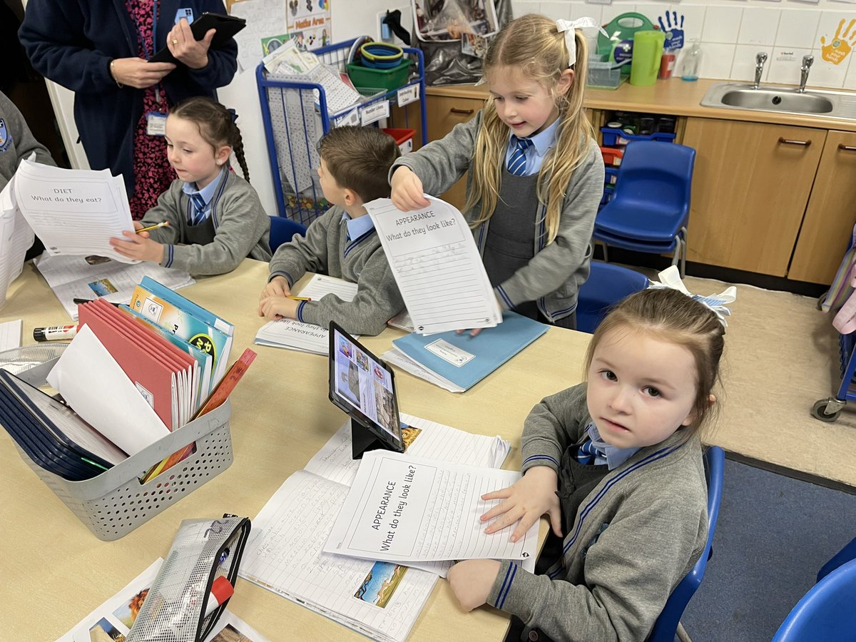 St John Bosco Primary Year 2 tweet media