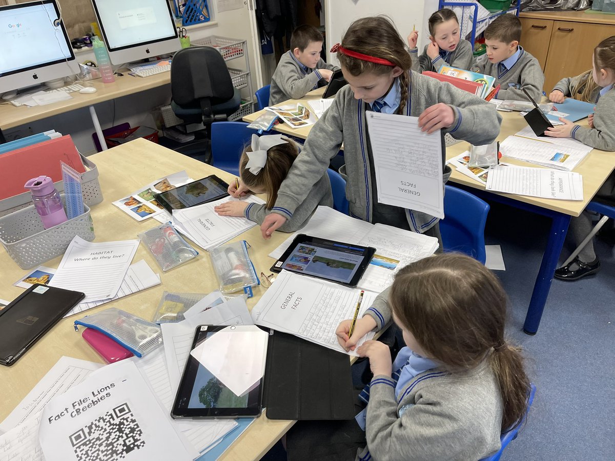 St John Bosco Primary Year 2 tweet media