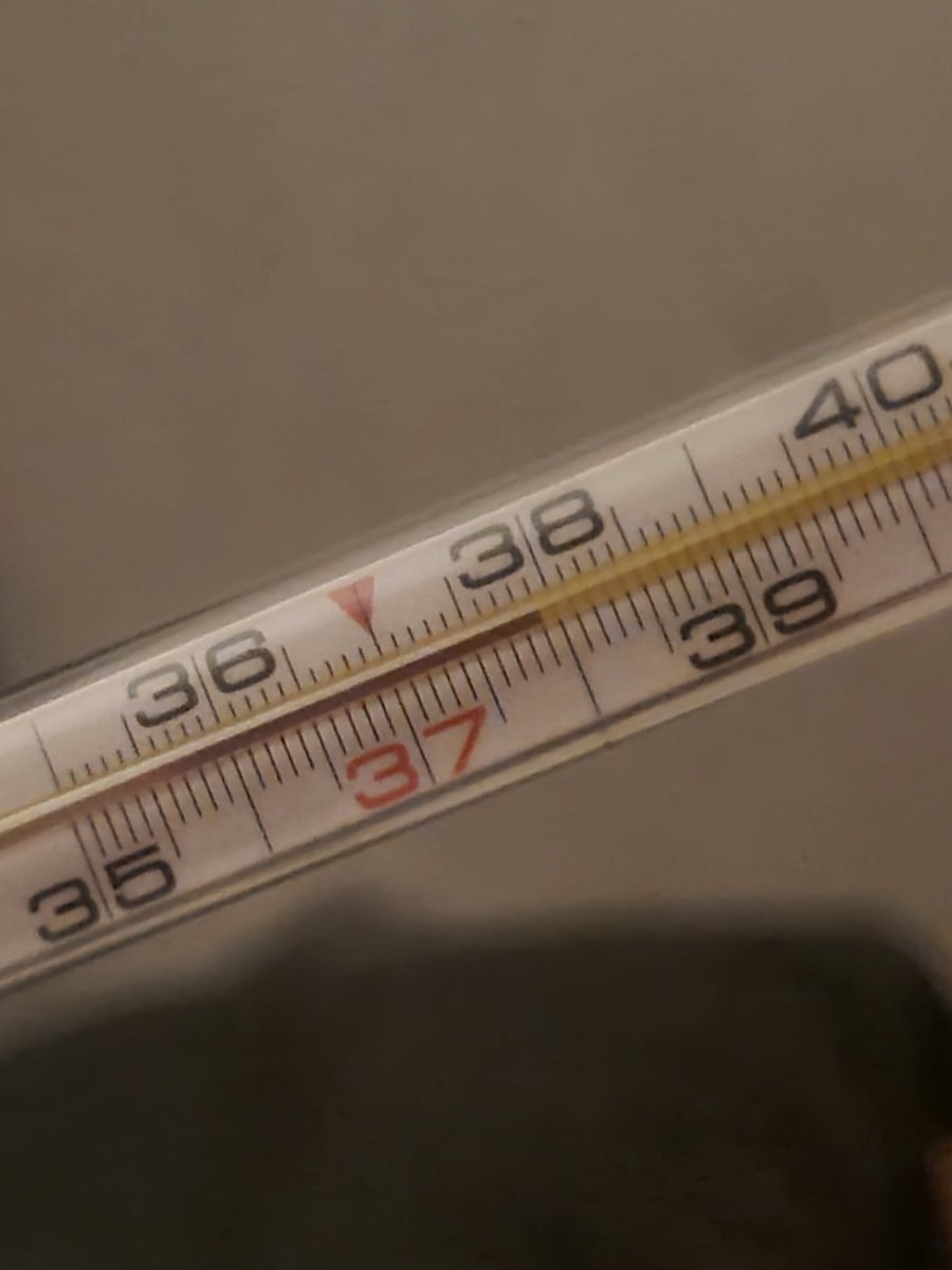 Kristīna Blumberga 🌸 tweet media