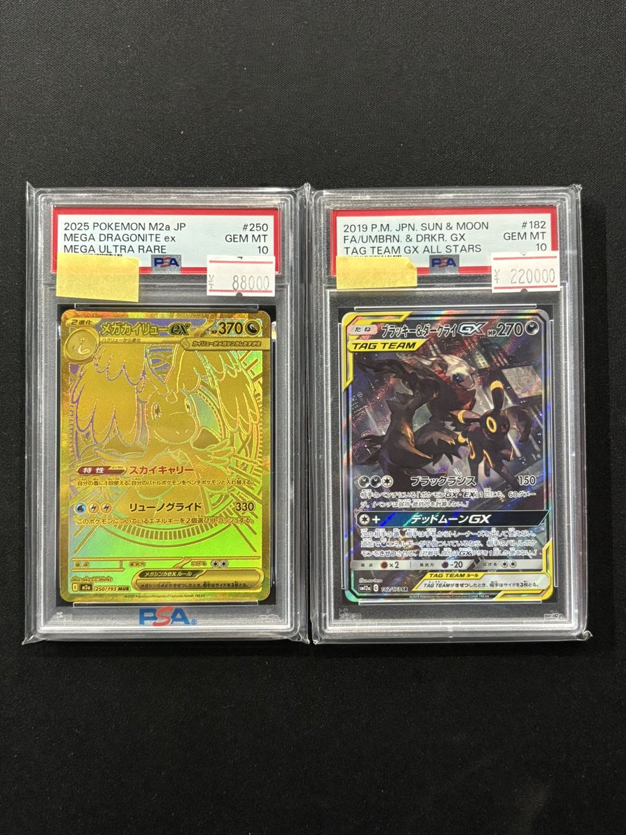 こちらも品出ししております！