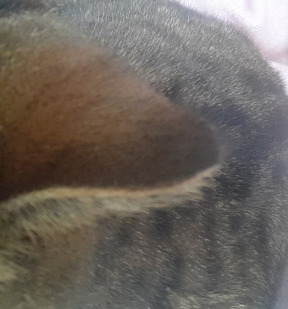 Rita M€DN€ tweet media