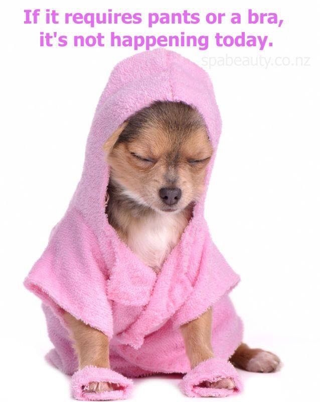 <a href="/sumuiuimi/">미니</a> 하늘볼거임