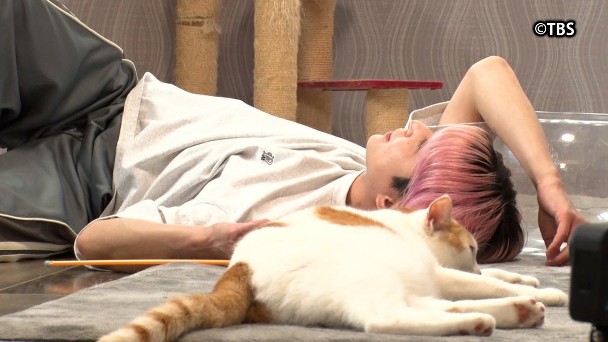 animaling__tbs's tweet image. ＿＿◣＿＿＿＿＿◢＿＿
今日よる𝟖時から
🐾#モニタリング ✖️ #アニマリング  🐾
＿＿＿＿＿＿＿＿＿＿＿𓂃

#佐久間大介(#SnowMan)が
学校にサプライズ登場🎊や
運動不足のネコちゃん🐱のお悩みを解決💡

21時20分ごろ放送❗️

お楽しみに📷🧡