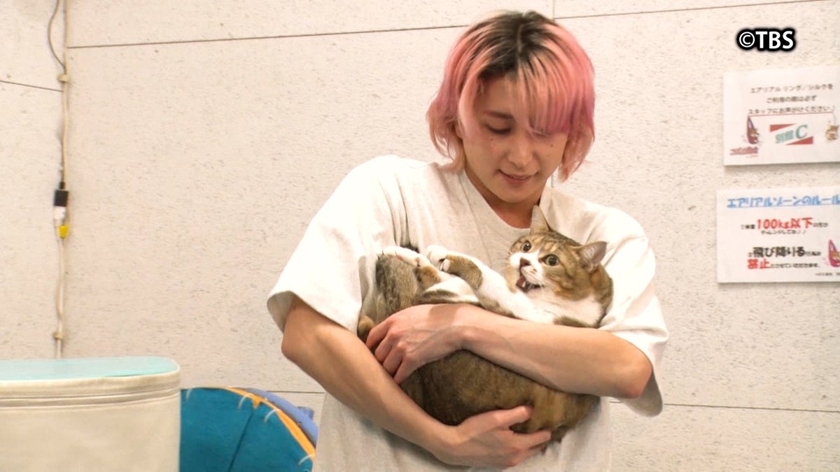 animaling__tbs's tweet image. ＿＿◣＿＿＿＿＿◢＿＿
今日よる𝟖時から
🐾#モニタリング ✖️ #アニマリング  🐾
＿＿＿＿＿＿＿＿＿＿＿𓂃

#佐久間大介(#SnowMan)が
学校にサプライズ登場🎊や
運動不足のネコちゃん🐱のお悩みを解決💡

21時20分ごろ放送❗️

お楽しみに📷🧡