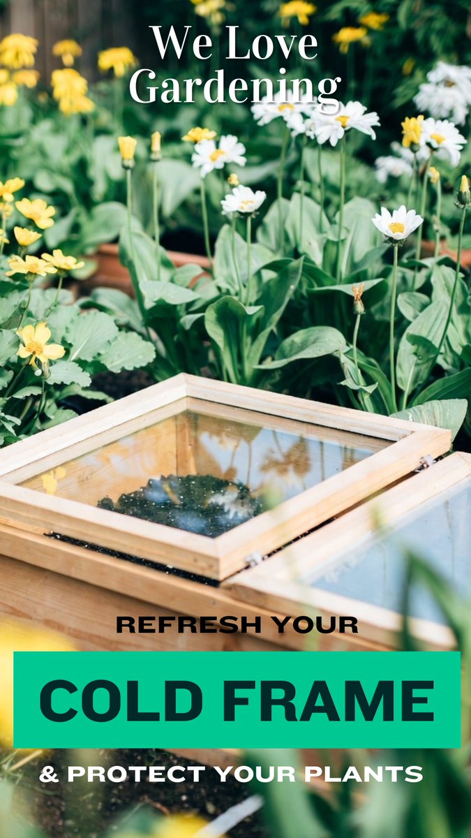 Sheet Plastics tweet media