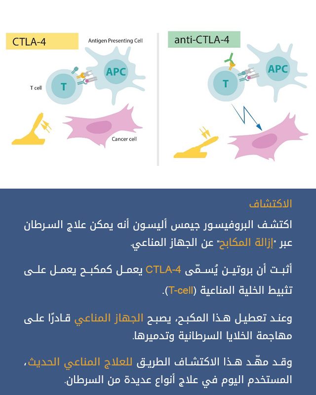 King Faisal Foundation مؤسسة الملك فيصل الخيرية tweet media