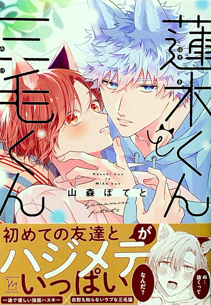 オススメな商業BL作品🫲（l）🫱』