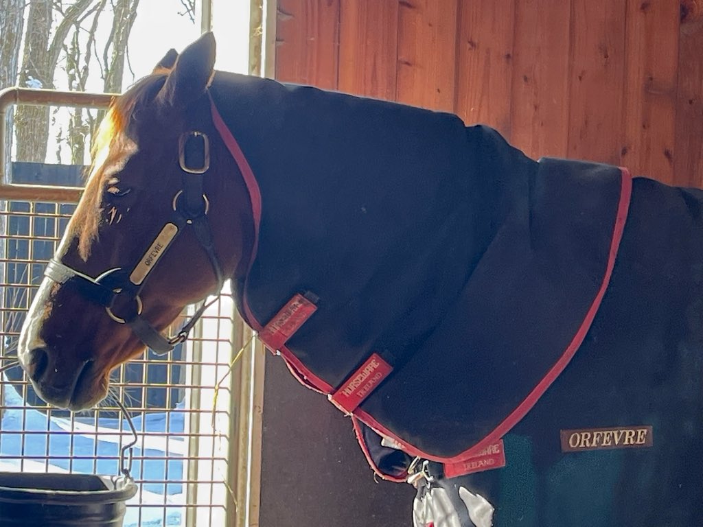 オルフェーヴル