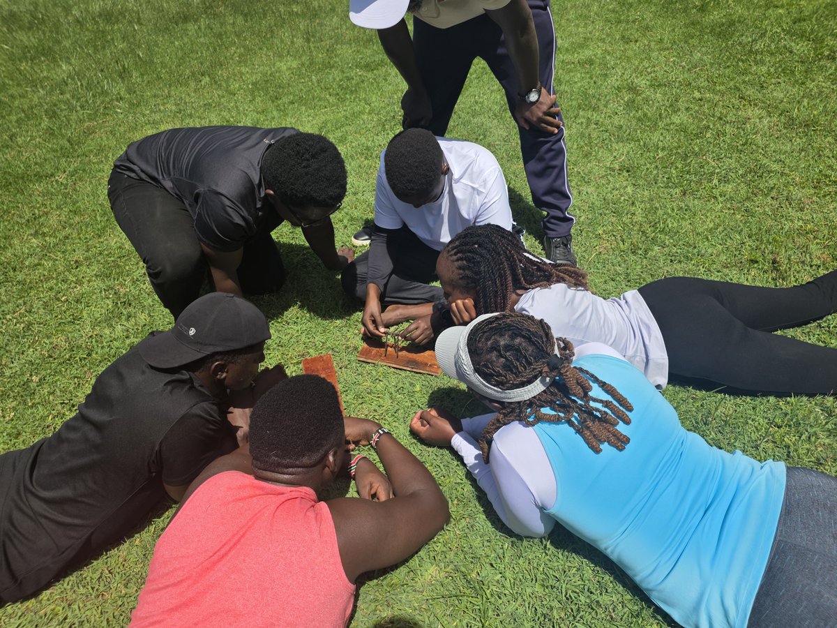 Musoni System tweet media