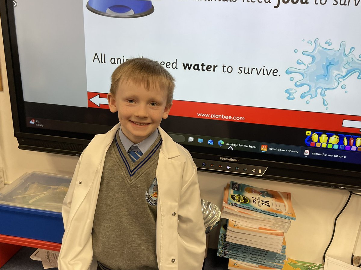 St John Bosco Primary Year 2 tweet media