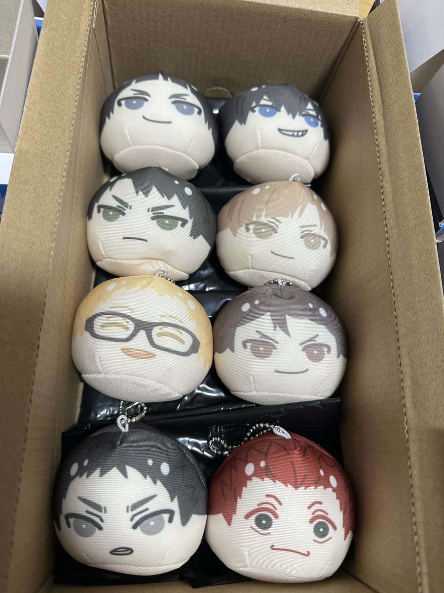 reinommm's tweet photo. BOX買いしたの届いた〜！
特典影山いなくて悲しかった😢
可愛い命たちようこそ‼️ https://t.co/GqJVZpOuwa