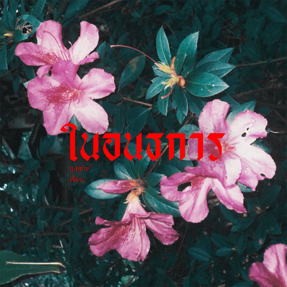 ฅิม ✴︎ tweet media