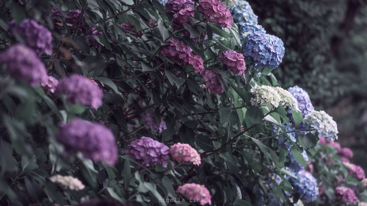 心変わりに気付いた日