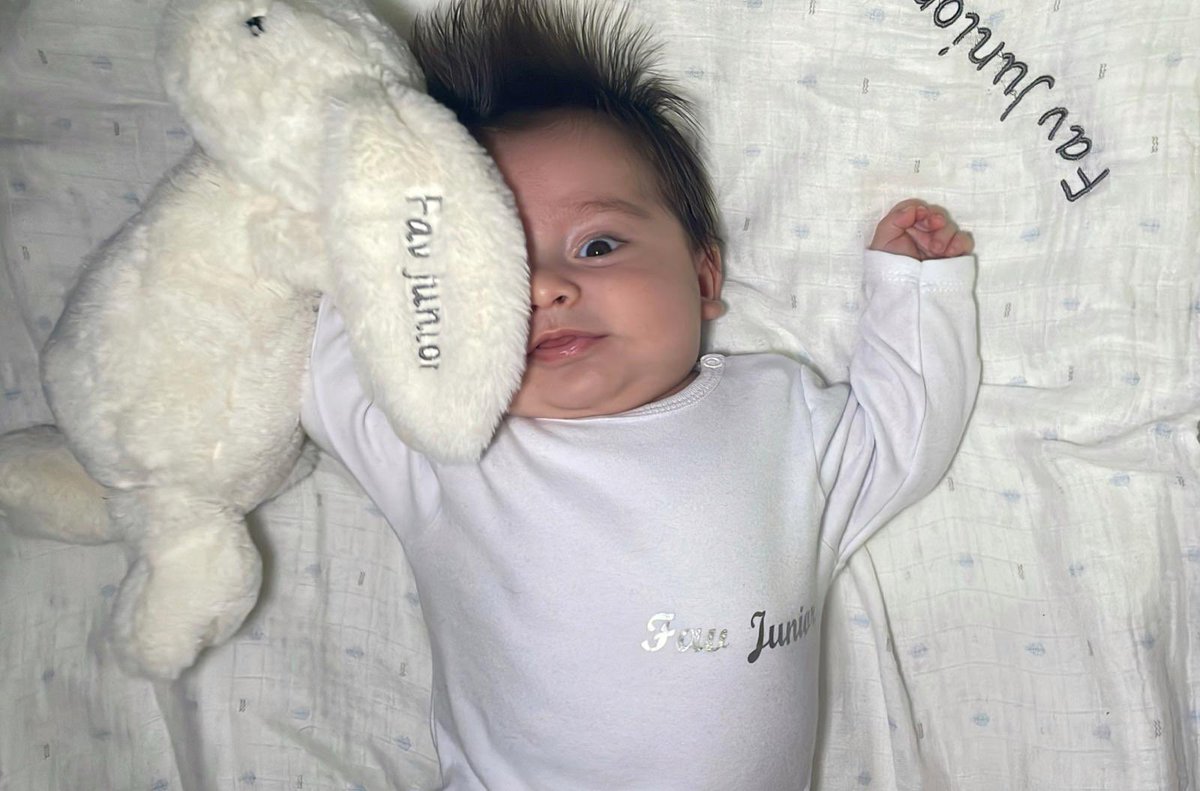 Fav_Truffle tweet media