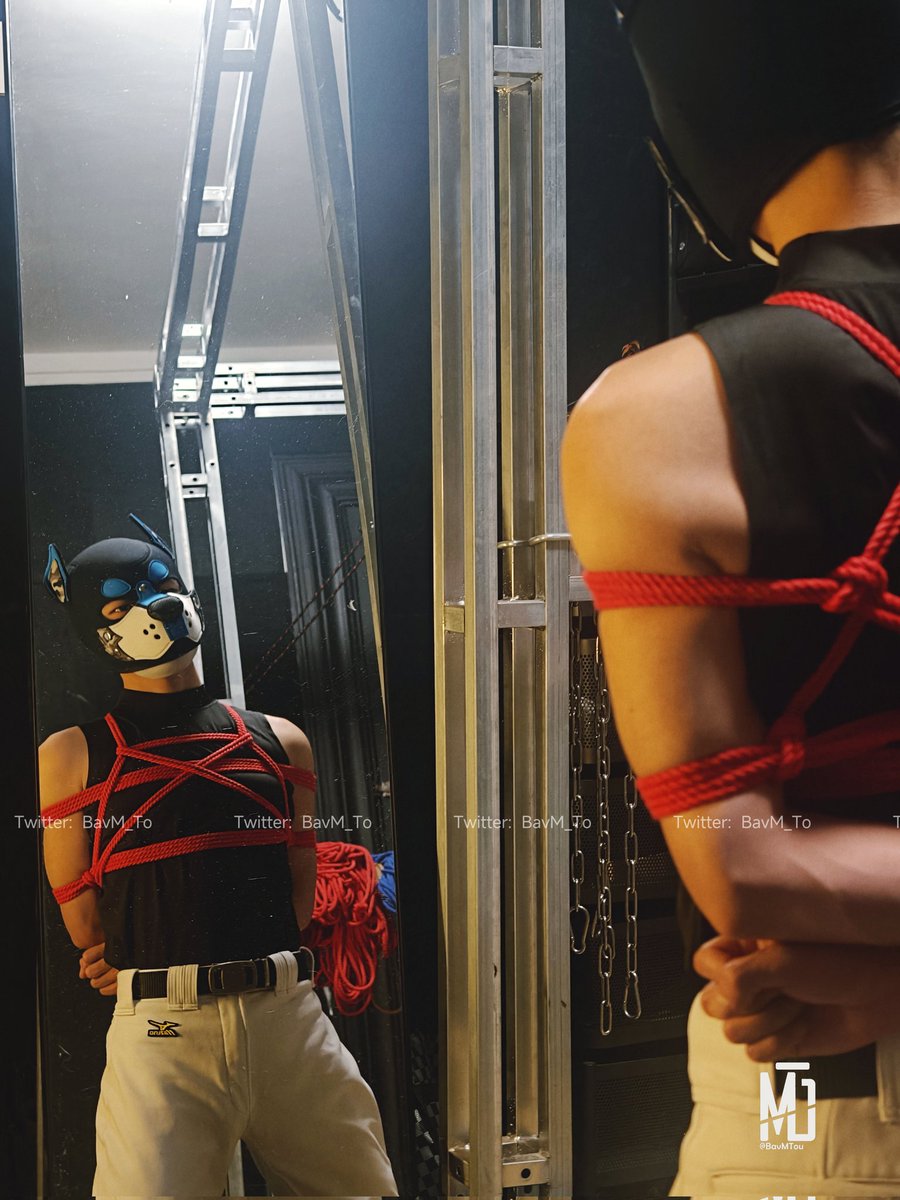 BavTo_木头 tweet media