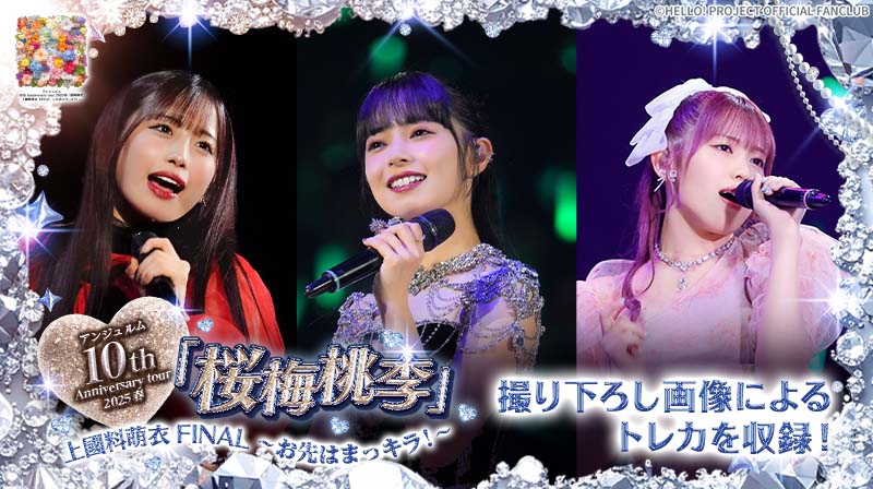 Hello! Projectデジタルコレクション公式 (@HelloProject_dc) / Posts / X