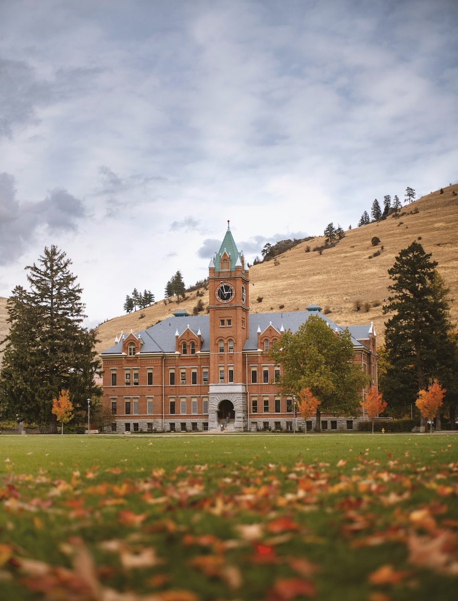 Arcus Advisory tweet media