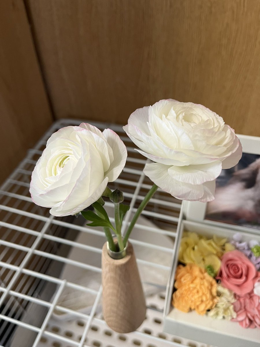 お花2週経過。 まだまだ美し。 こんなに長持ちするとは思わず、ば