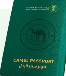 رسميًا..

اعتماد إصدار جواز سفر الإبل في المملكة.

-