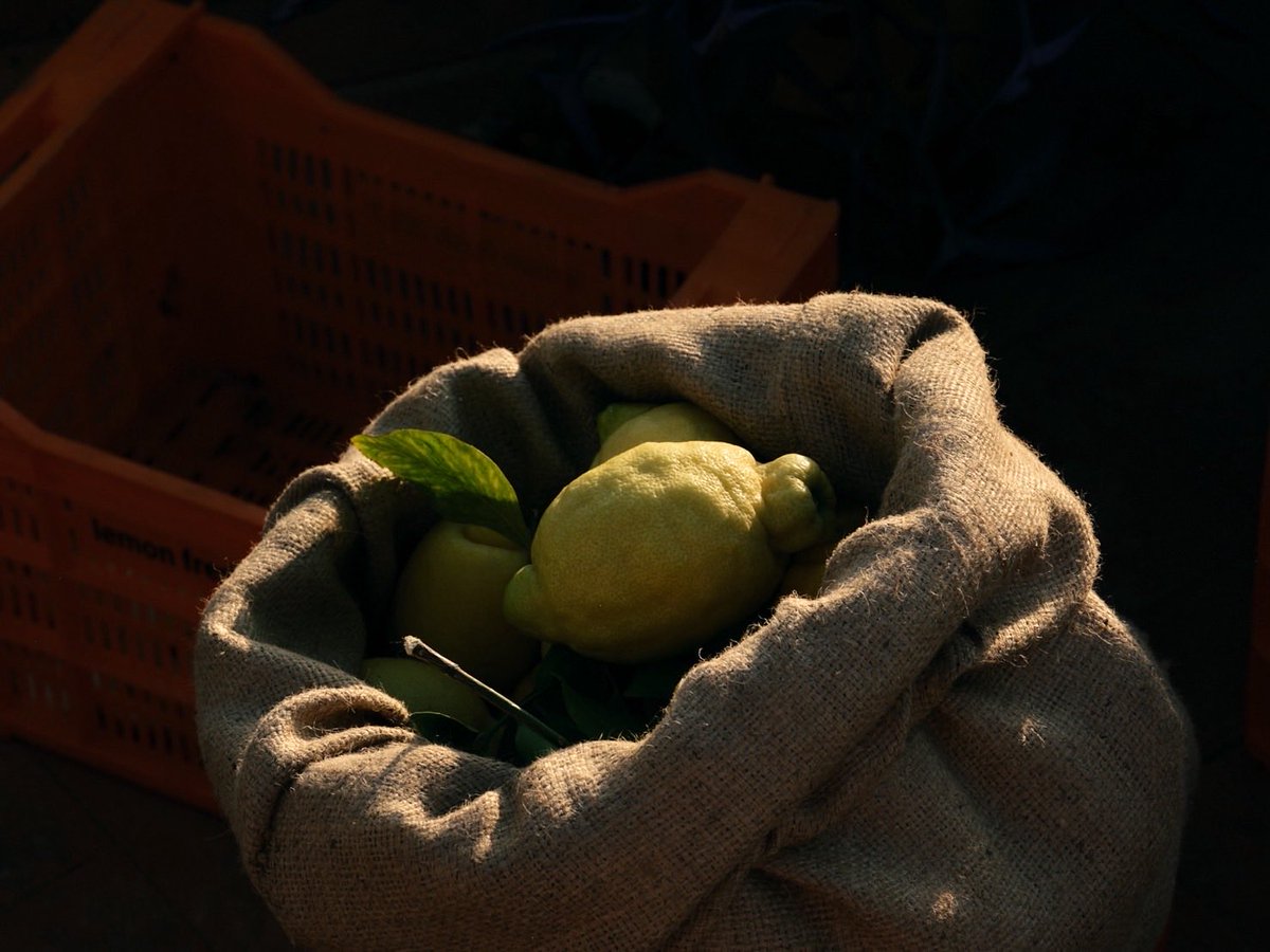 BombayJapan's tweet image. 新しいキャンペーンテーマ
 
Step into the blue。
踏み出そう、美しい青の極みへ。
 
ボンベイ・サファイアの特徴は、
世界中から選ばれた10種のボタニカル。
 
上質な原材料にこだわり続けているからこそ、深い香りと味わいを生み出すことができています！

#BOMBAYSAPPHIRE  #ボンベイサファイア